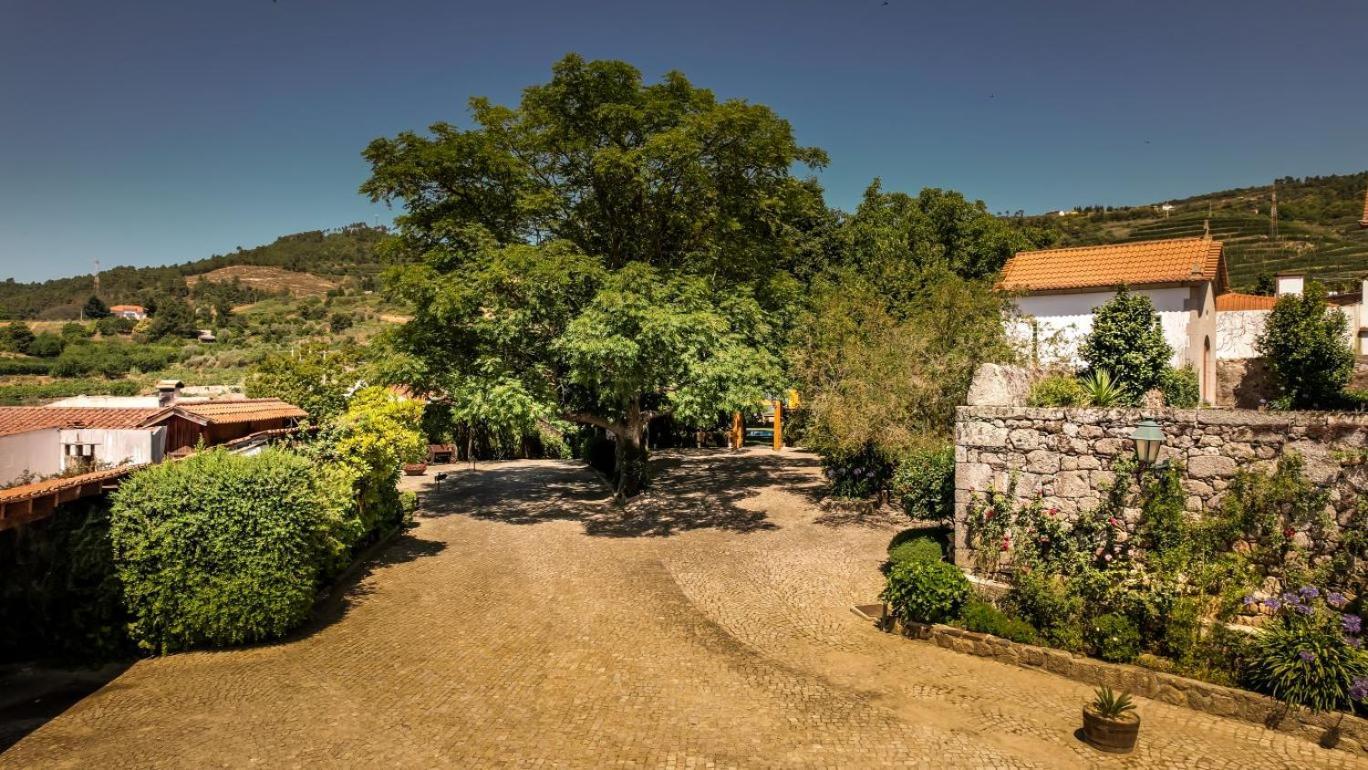 Quinta Do Terreiro - Turismo De Habitacao Hotel Lamego Kültér fotó
